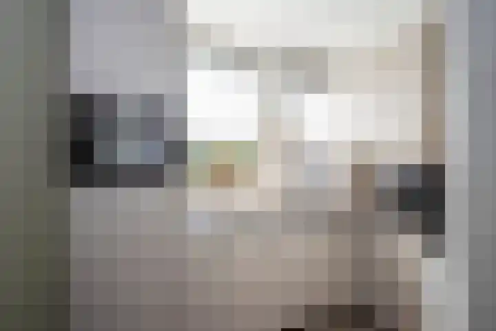 De Stroekeld 104 Rijssen thumbnail 9