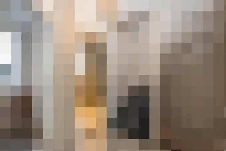 De Stroekeld 110 Rijssen thumbnail 10