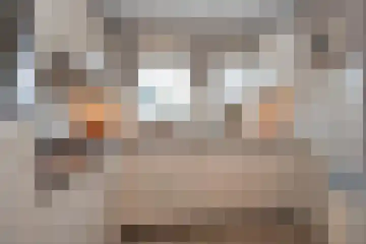 De Stroekeld 110 Rijssen thumbnail 9