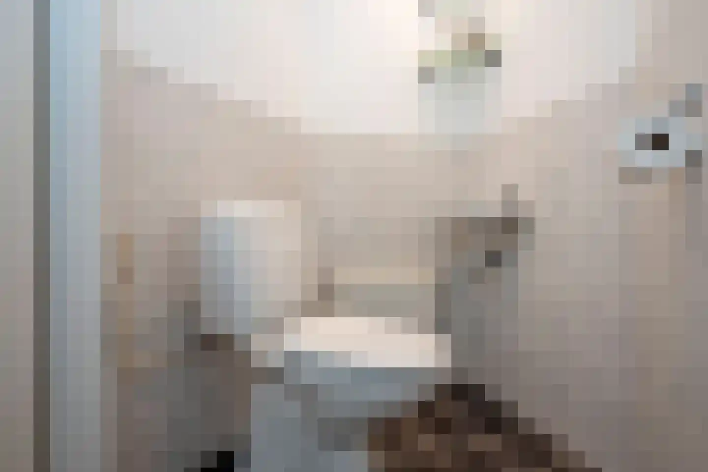 De Stroekeld 66 Rijssen thumbnail 17