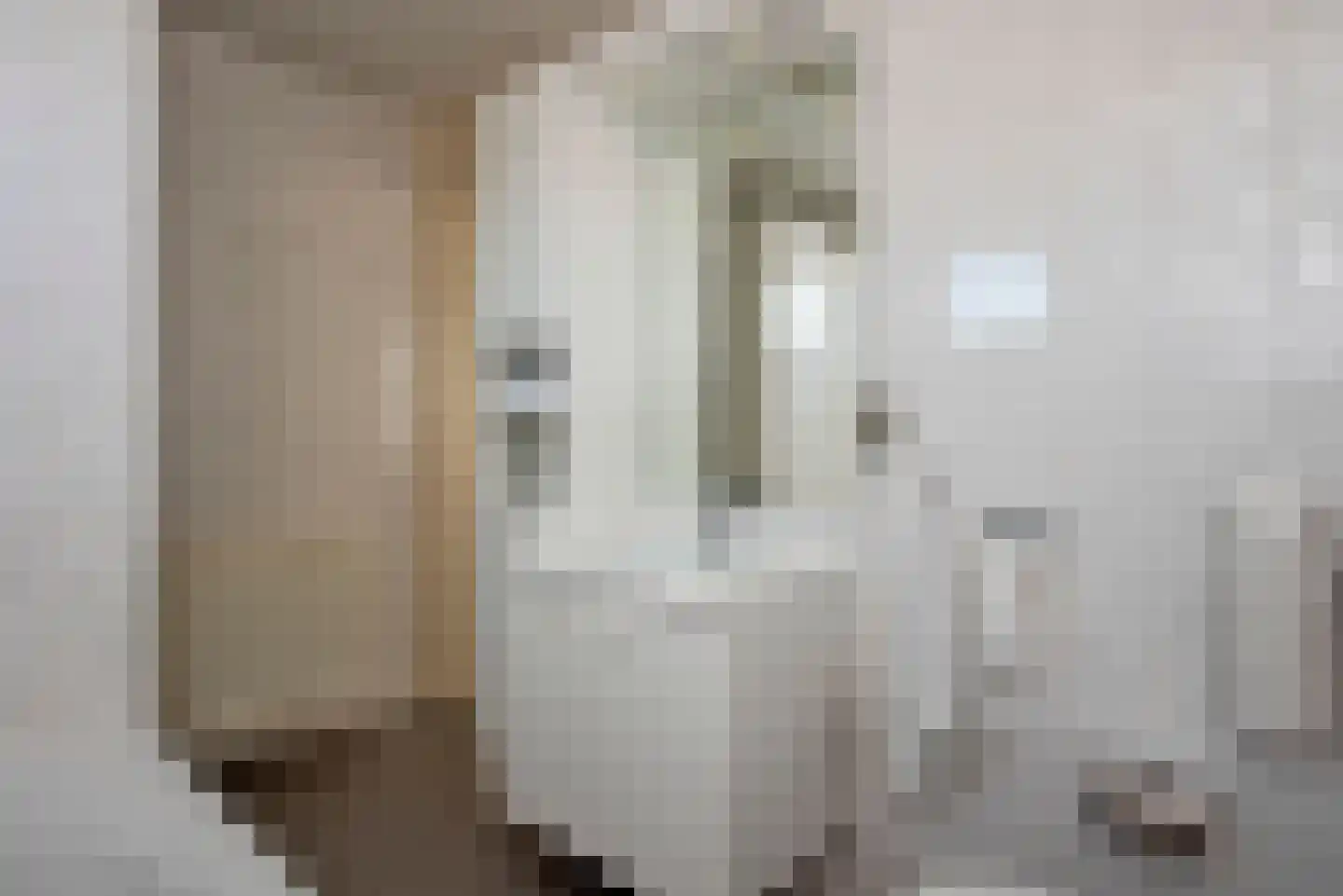 De Stroekeld 71 Rijssen thumbnail 19