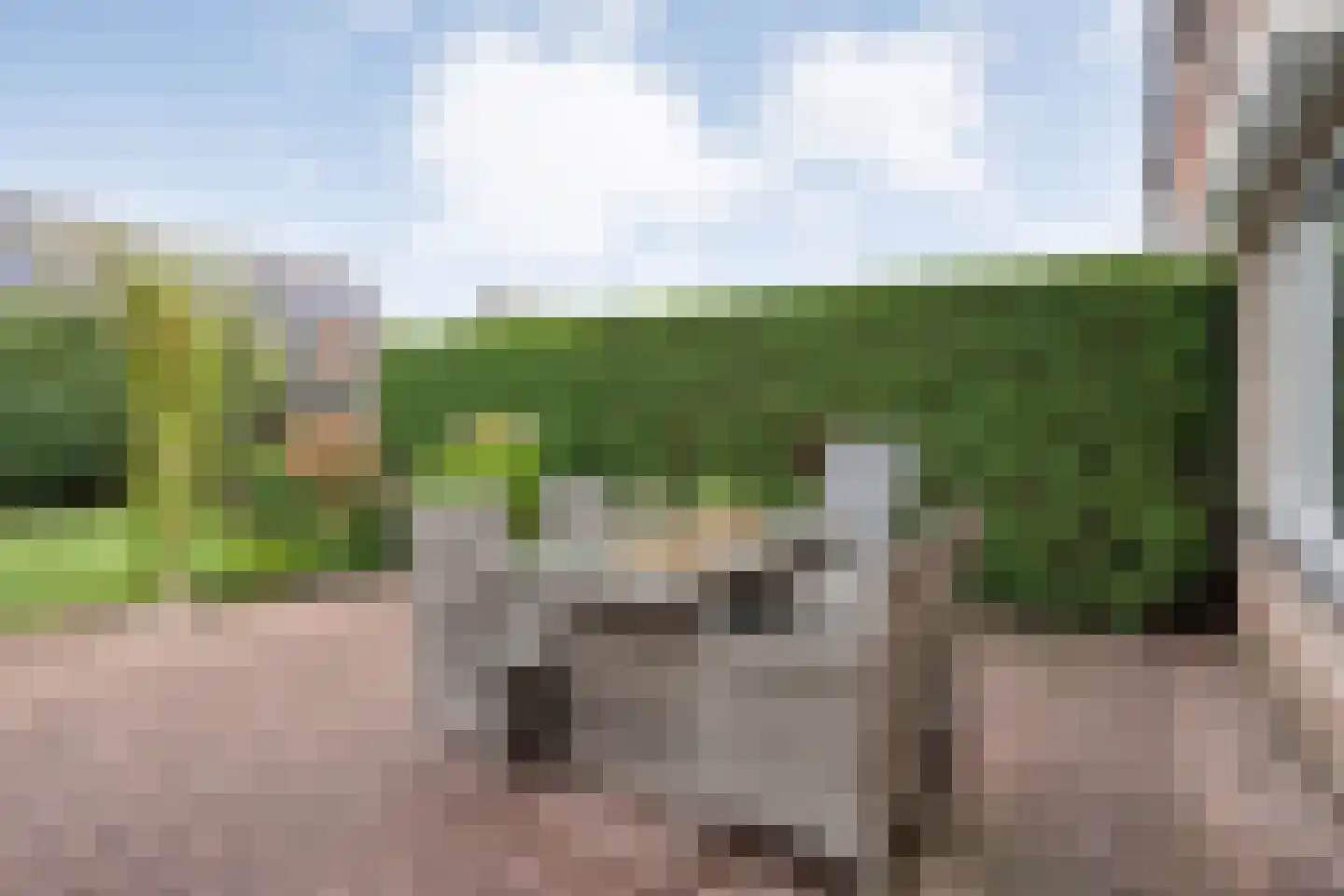 De Stroekeld 90 Rijssen thumbnail 33