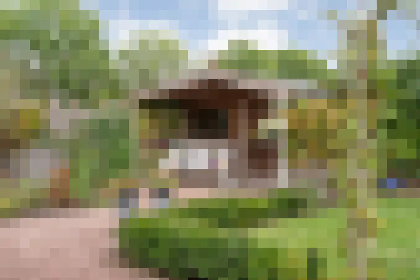 De Stroekeld 90 Rijssen thumbnail 37
