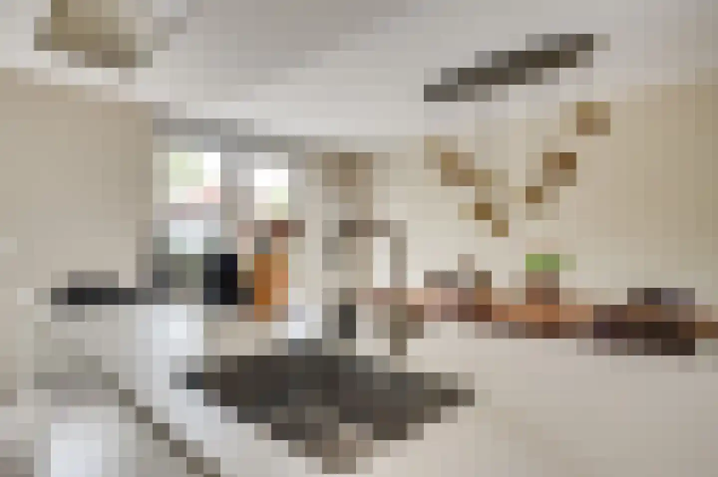 de Strohuls 27 Heeze thumbnail 19
