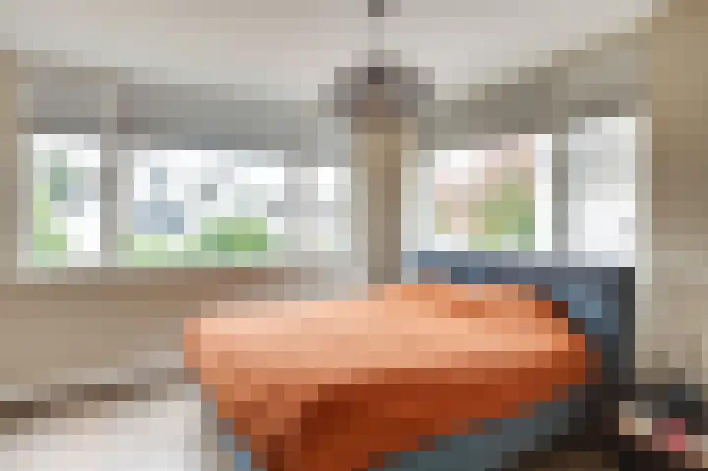 de Strohuls 27 Heeze thumbnail 24