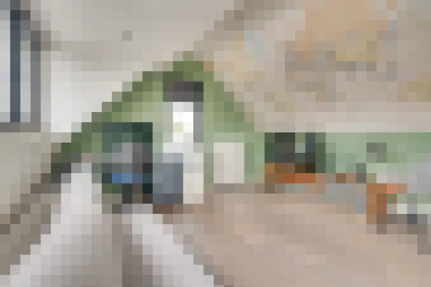 de Strohuls 27 Heeze thumbnail 37