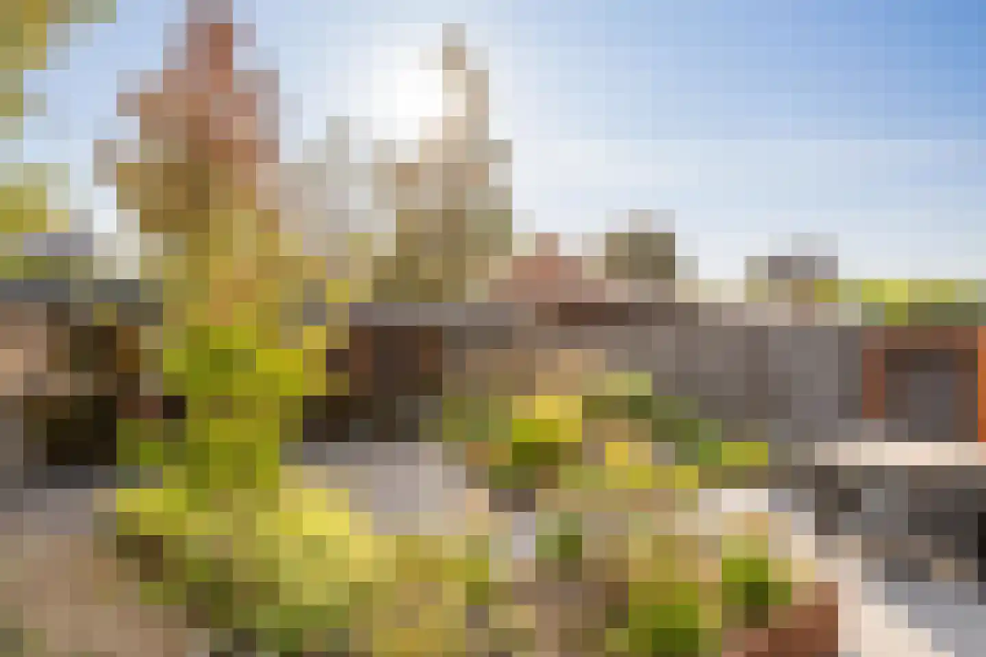 de Strohuls 27 Heeze thumbnail 40
