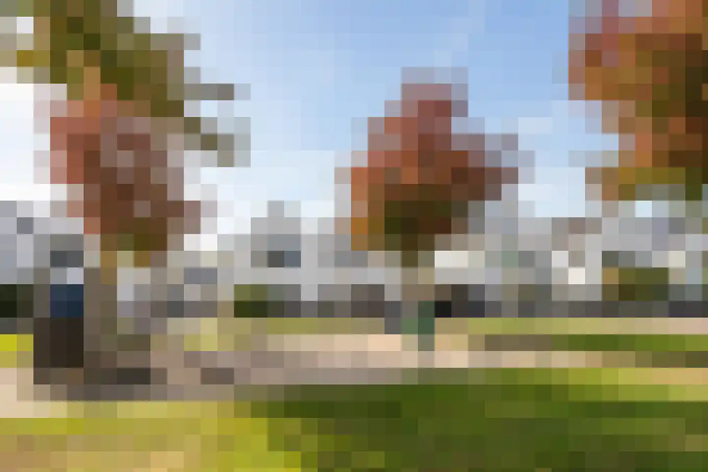 de Strohuls 27 Heeze thumbnail 7