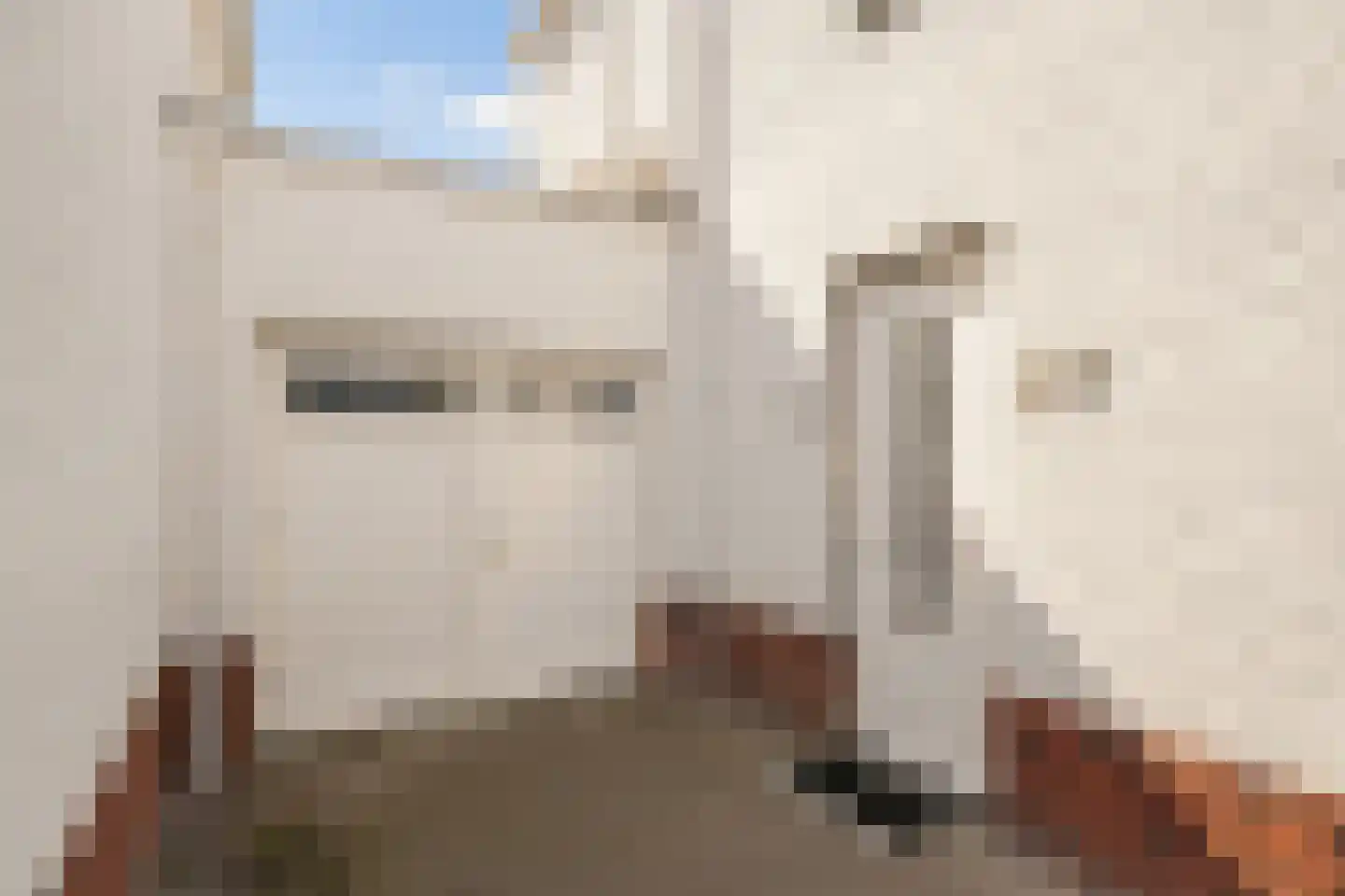 de Strohuls 27 Heeze thumbnail 8