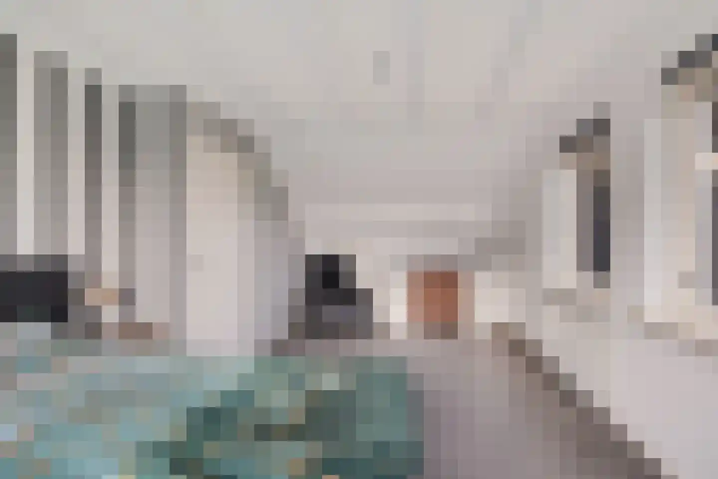 De Stroom 5 Beilen thumbnail 34