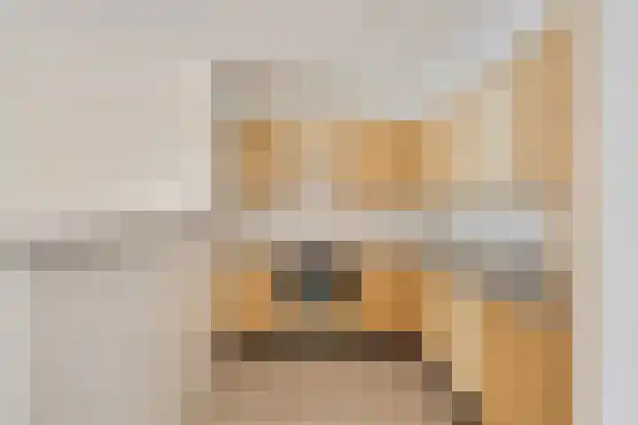 De Strubben 40 Emmen thumbnail 15