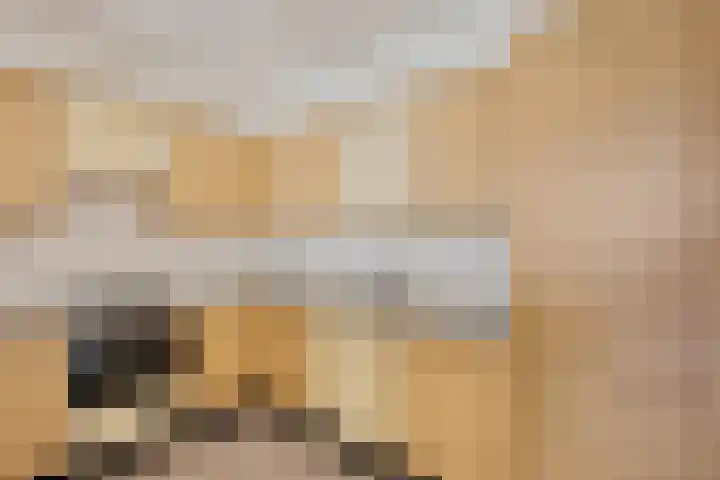 De Strubben 40 Emmen thumbnail 16