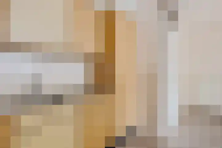 De Strubben 40 Emmen thumbnail 18