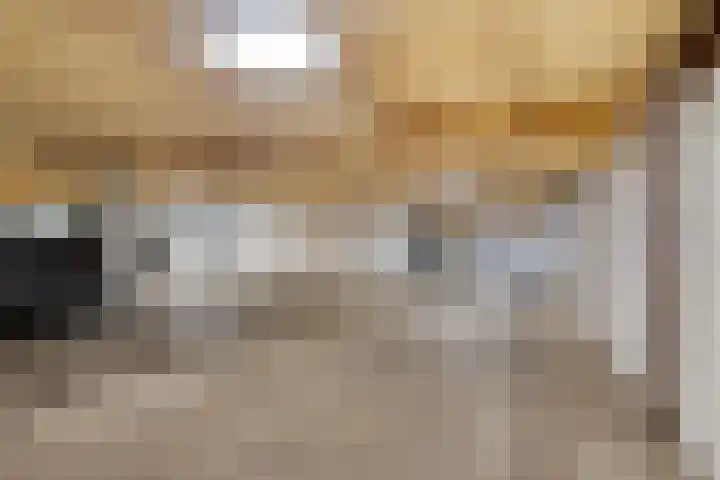 De Strubben 40 Emmen thumbnail 32