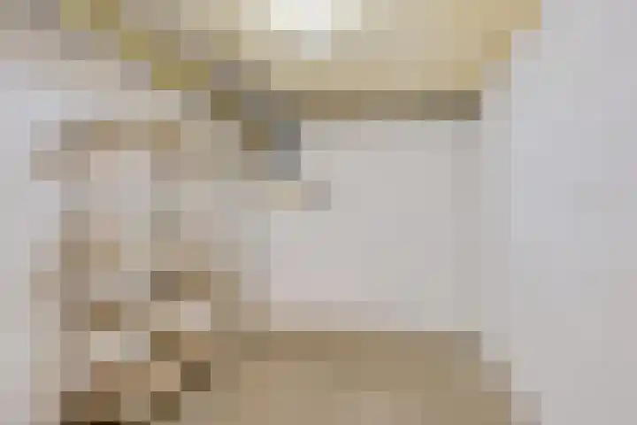 De Strubben 40 Emmen thumbnail 33