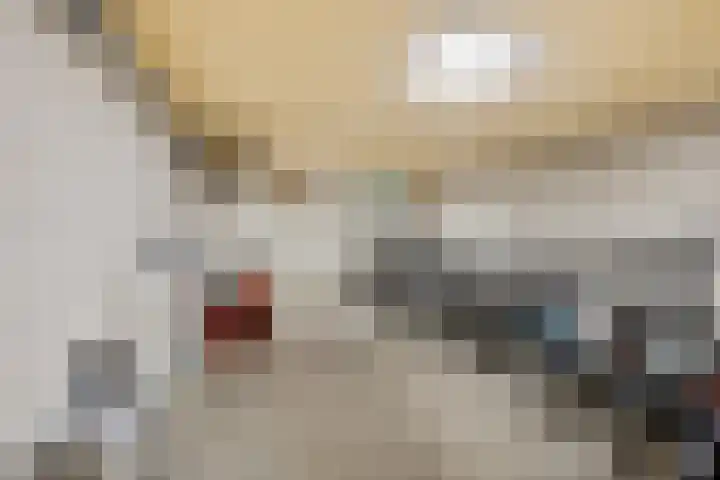 De Strubben 40 Emmen thumbnail 34