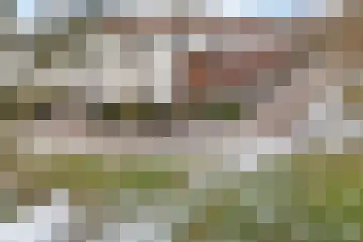 De Strubben 40 Emmen thumbnail 40