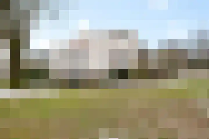 De Strubben 40 Emmen thumbnail 41