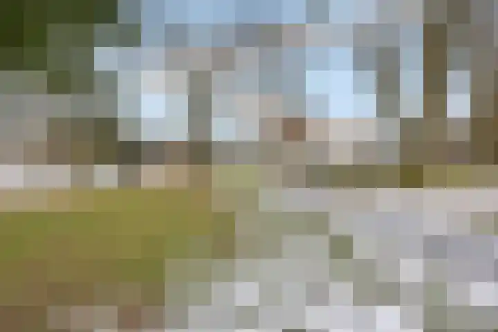 De Strubben 40 Emmen thumbnail 42