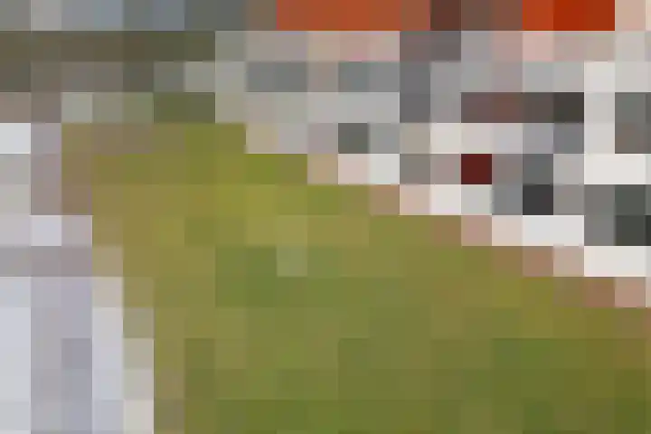 De Strubben 40 Emmen thumbnail 43