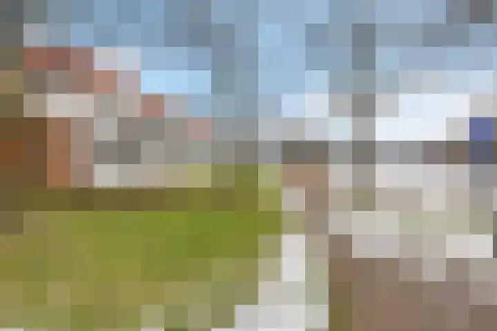 De Strubben 40 Emmen thumbnail 46