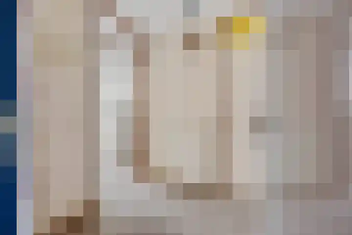 De Strubben 40 Emmen thumbnail 6
