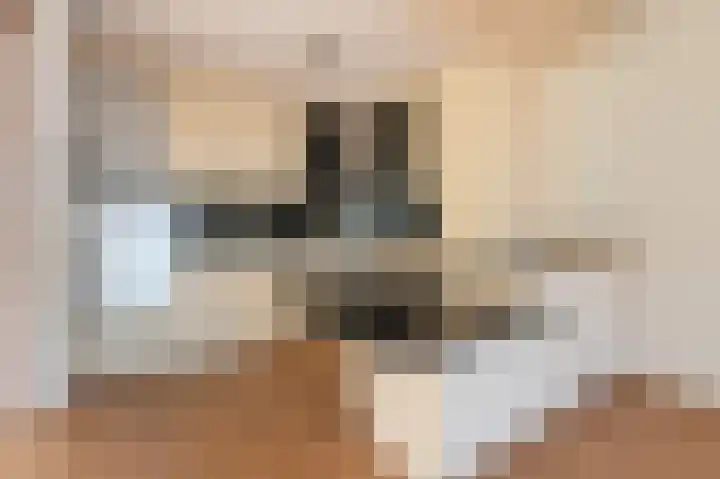 De Strubben 46 Emmen thumbnail 10