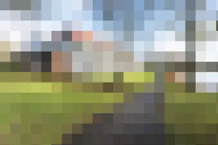 De Strubben 46 Emmen thumbnail 24