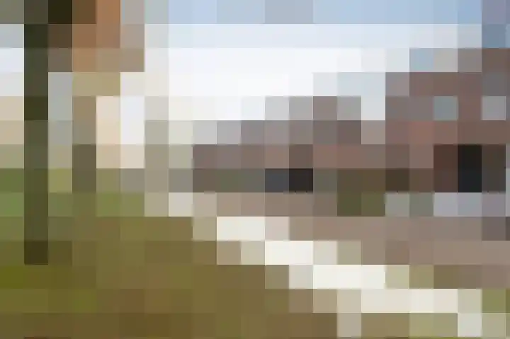 De Strubben 46 Emmen thumbnail 29