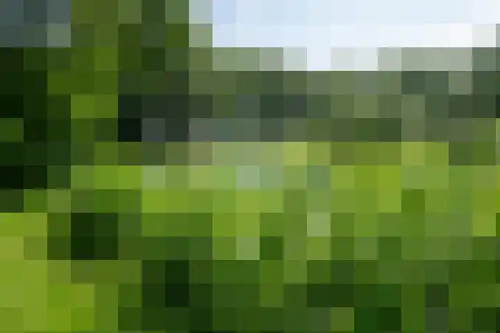 De Strubben 46 Emmen thumbnail 34