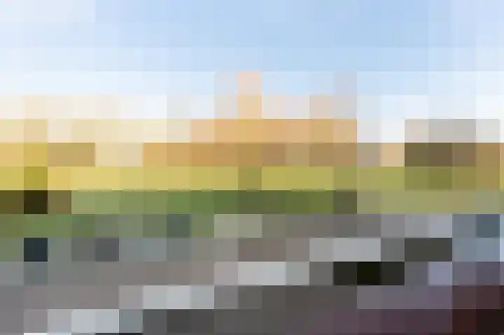 De Strubben 46 Emmen thumbnail 7
