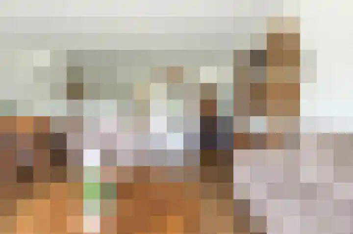 De Strubben 64 Emmen thumbnail 10