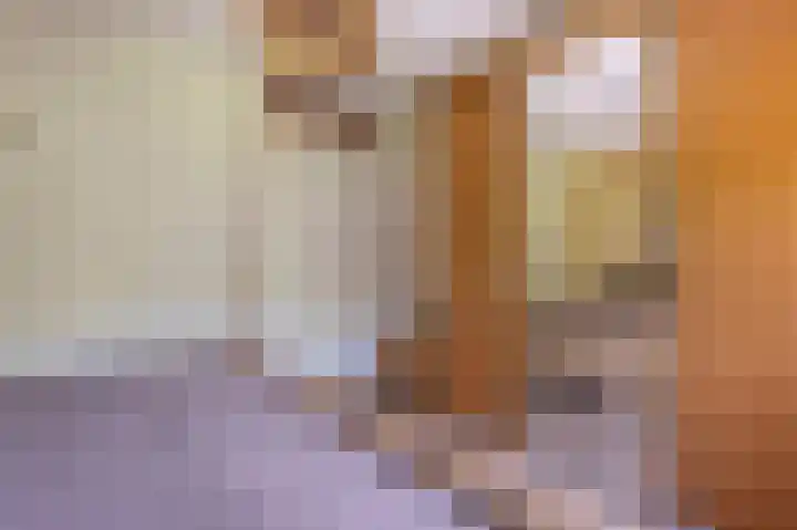 De Strubben 64 Emmen thumbnail 17