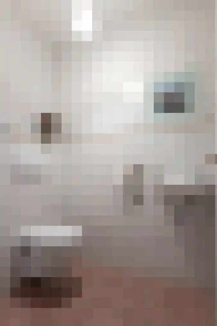 De Strubben 64 Emmen thumbnail 21