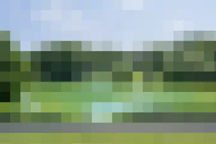 De Strubben 64 Emmen thumbnail 24