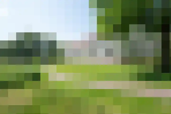 De Strubben 64 Emmen thumbnail 26