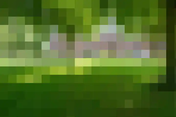 De Strubben 64 Emmen thumbnail 30