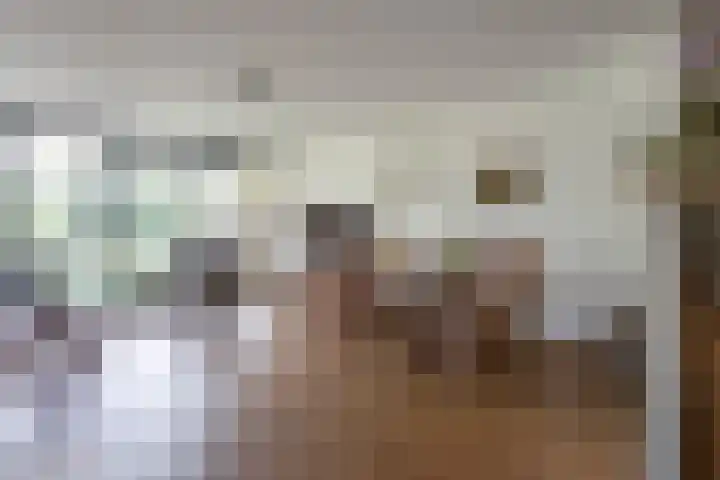 De Strubben 64 Emmen thumbnail 6