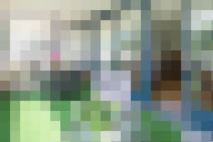 De Strubben 64 Emmen thumbnail 8