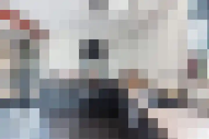 De Stûken 44 A Harkema thumbnail 28