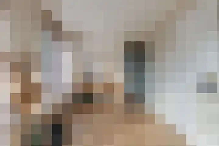 De Stûken 44 A Harkema thumbnail 38