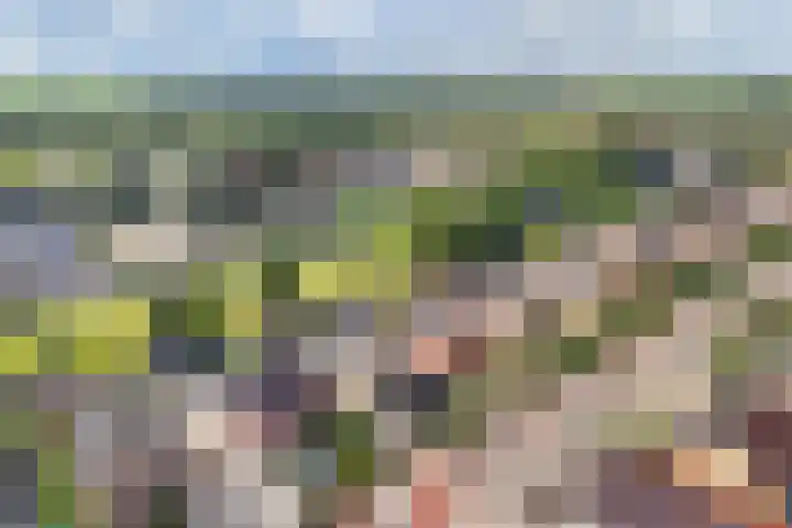 De Stûken 44 A Harkema thumbnail 4