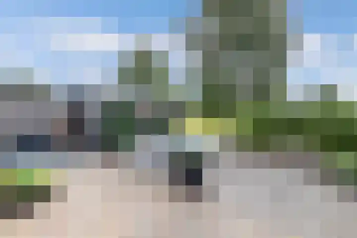 De Stûken 44 A Harkema thumbnail 47
