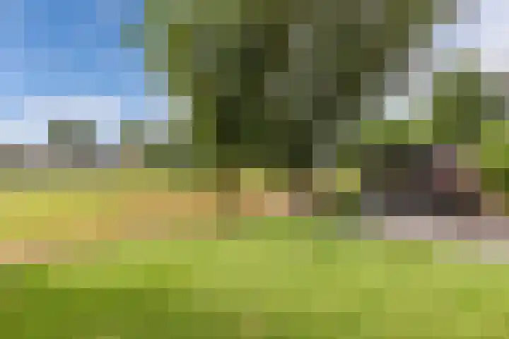 De Stûken 44 A Harkema thumbnail 51