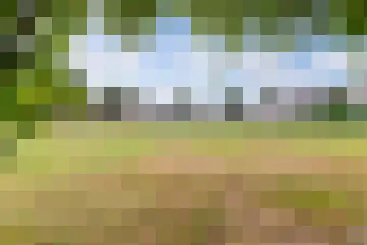 De Stûken 44 A Harkema thumbnail 52