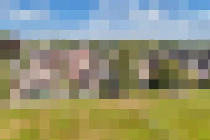 De Stûken 44 A Harkema thumbnail 53