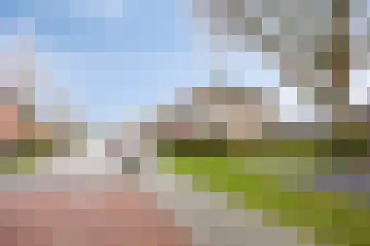 De Stûken 9 Harkema foto 3
