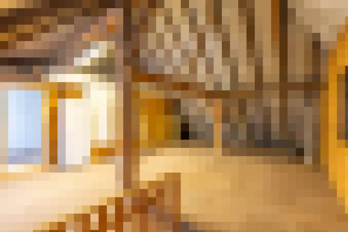 de Stulendreier 1 Dinxperlo thumbnail 22