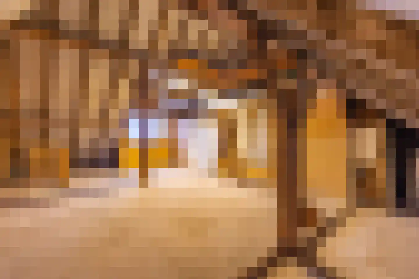 de Stulendreier 1 Dinxperlo thumbnail 23