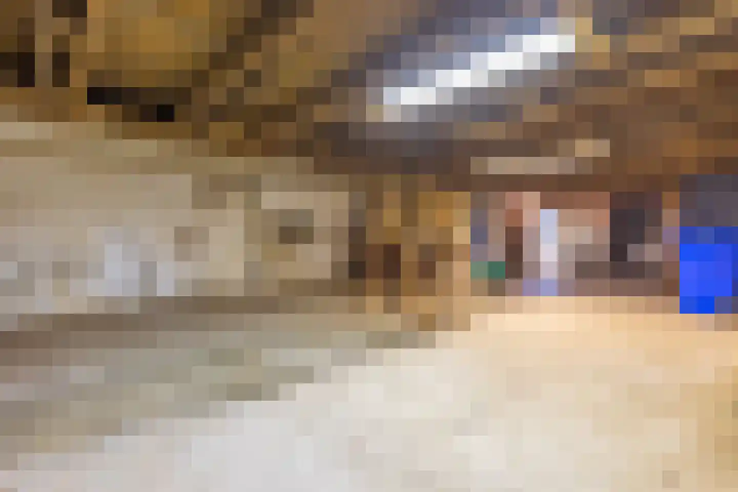de Stulendreier 1 Dinxperlo thumbnail 25